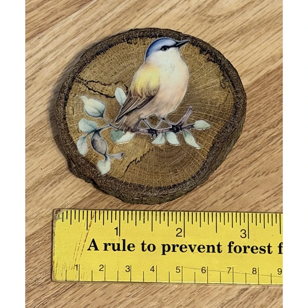 Set Of 4 Natural Oak Wood Bark Bird Magnets
